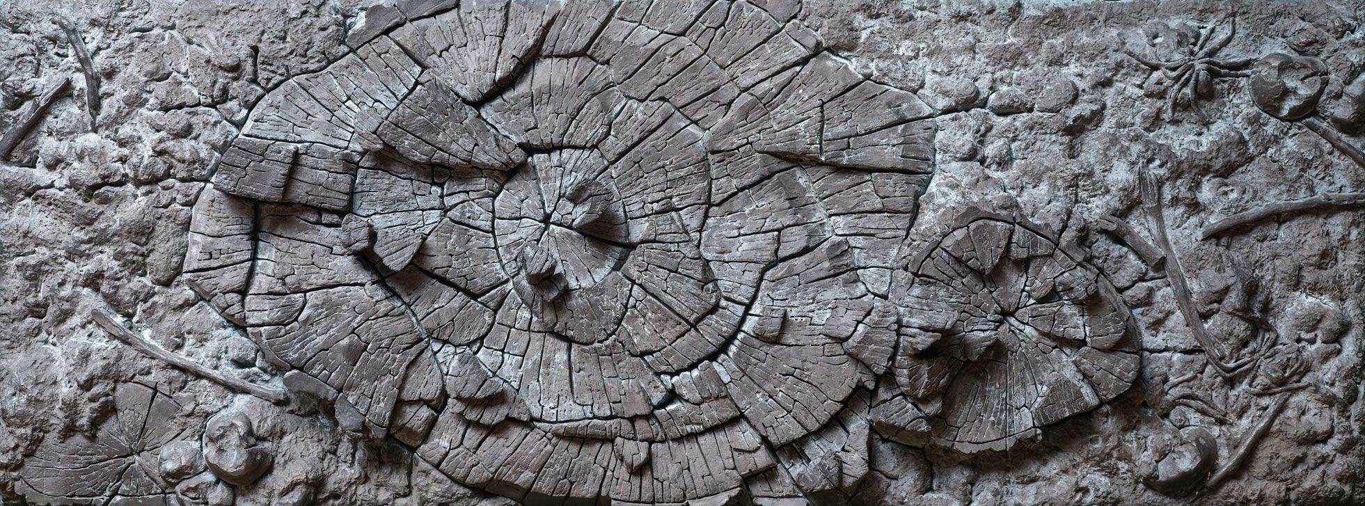 Bronzerelief med spiralformet træsnit og barkstrukturer omgivet af grene og små naturdetaljer.