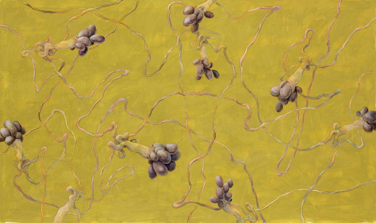 Large-scale painting in golden tones with organic, intertwining forms and clustered elements in gouache and pastel, 142 x 227 cm, 2010.
